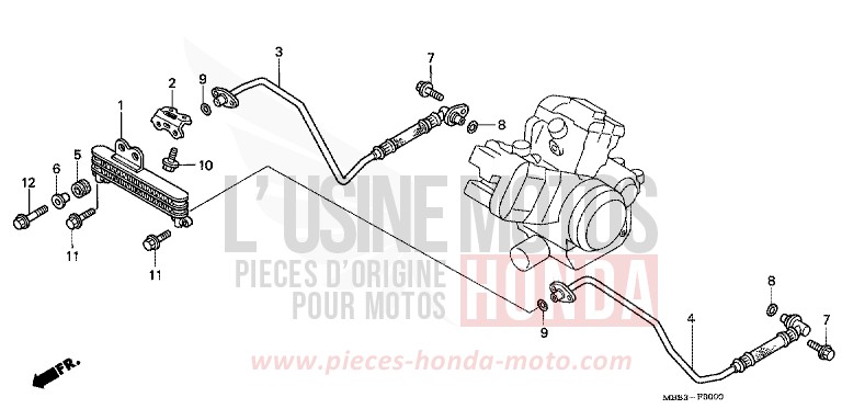 OELKUEHLER von VTR "FireStorm" PEARL SHINING YELLOW (Y124) von 1997